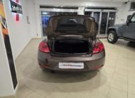 Volkswagen Maggiolino Cabrio 1.6 tdi Design 105cv 70s Edition
