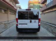 Fiat Ducato 30 Panorama 2.3 Mjt 150 cv PC-TN 9 Posti